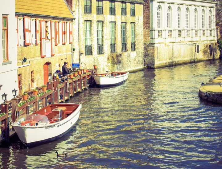 跨平台系统的ddos页端