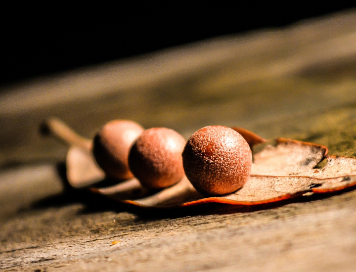 免费ddos压力测试平台